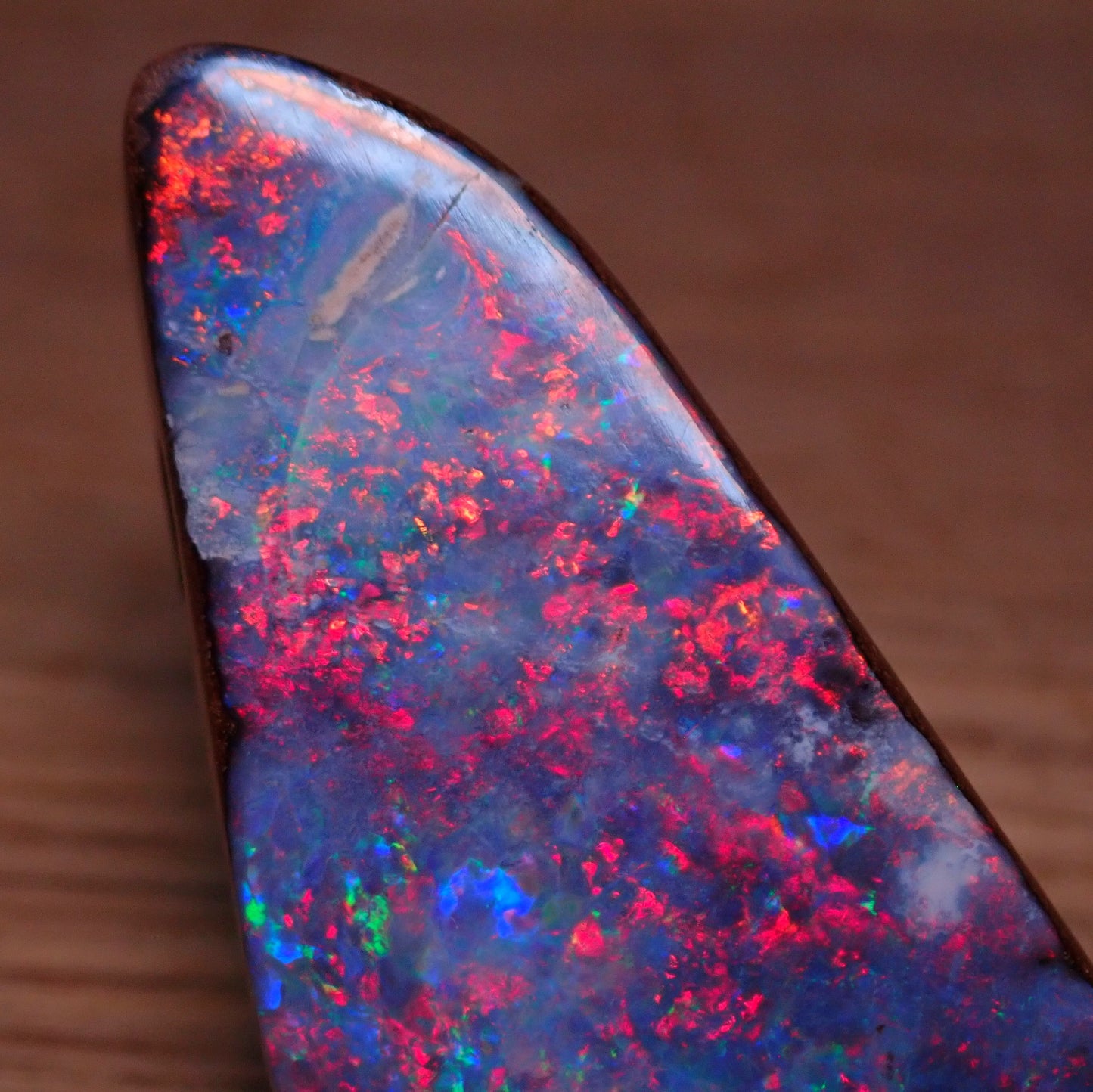 AAA+ Boulder Opal Anhänger aus Australien, 81.95 ct - 16,39g - 45,49 x 23,72 x 10,87mm