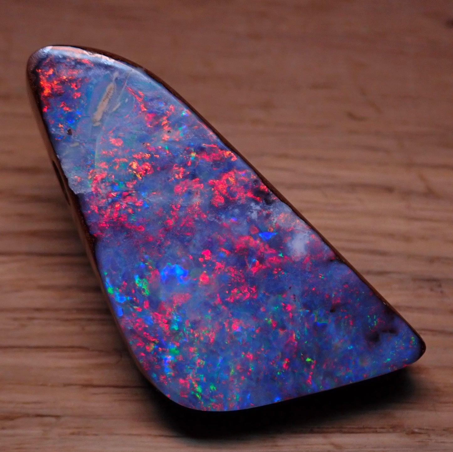 AAA+ Boulder Opal Anhänger aus Australien, 81.95 ct - 16,39g - 45,49 x 23,72 x 10,87mm