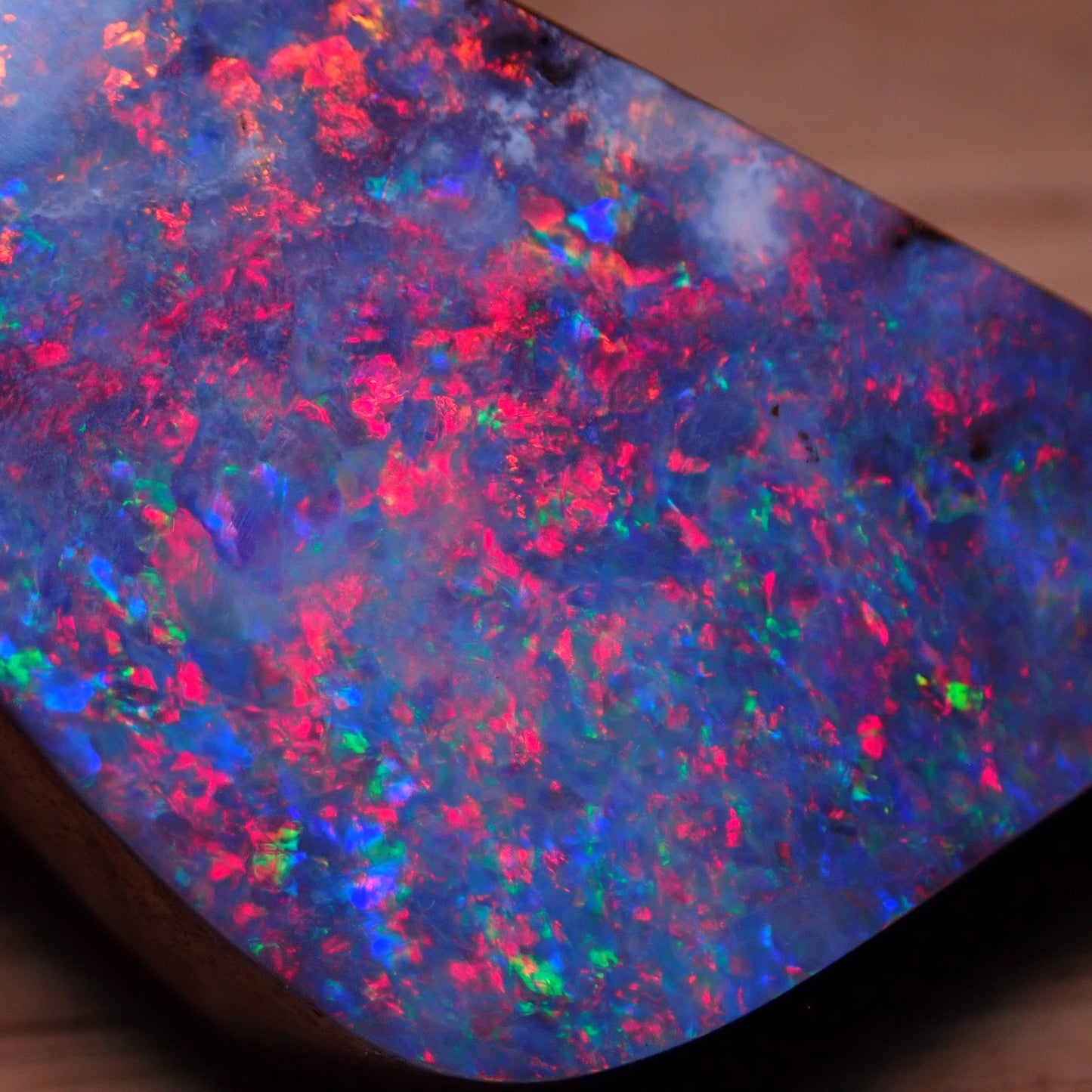 AAA+ Boulder Opal Anhänger aus Australien, 81.95 ct - 16,39g - 45,49 x 23,72 x 10,87mm