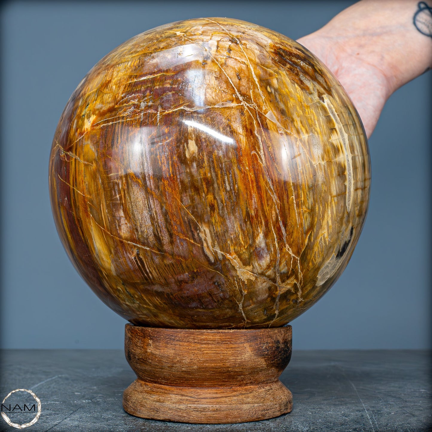 Natürliche Kristall-Kugel aus Versteinertem Holz - 4162,79g - 130mm