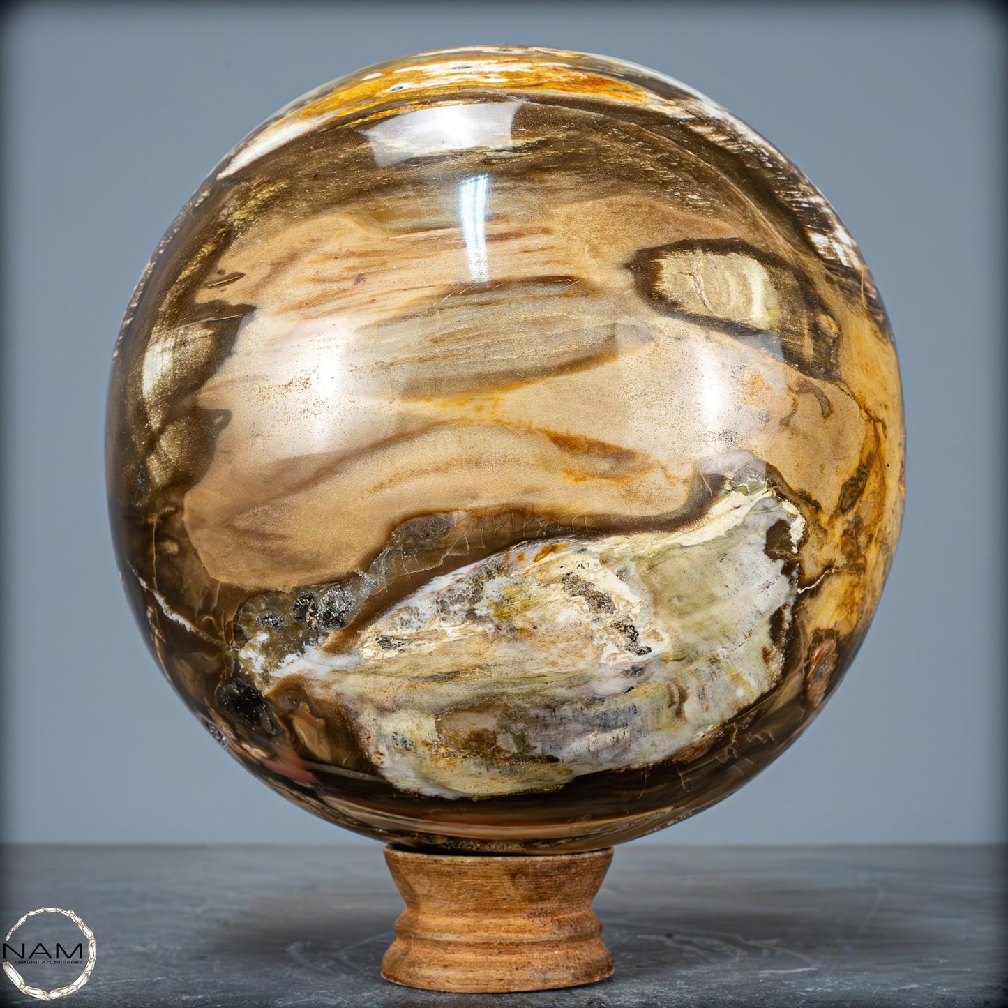 Natürliche Kristall-Kugel aus Versteinertem Holz - 5089,72g - 170mm