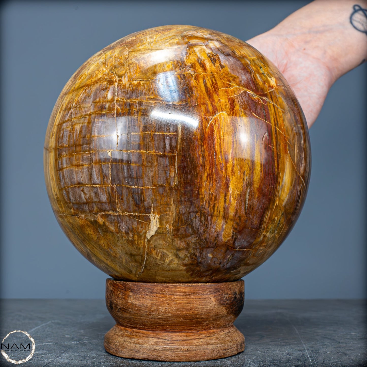 Natürliche Kristall-Kugel aus Versteinertem Holz - 4162,79g - 130mm