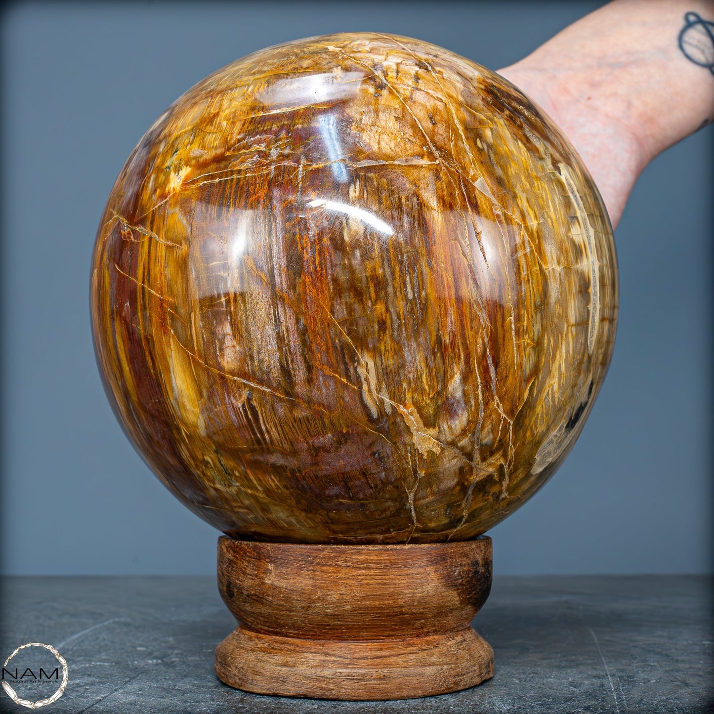 Natürliche Kristall-Kugel aus Versteinertem Holz - 4162,79g - 130mm