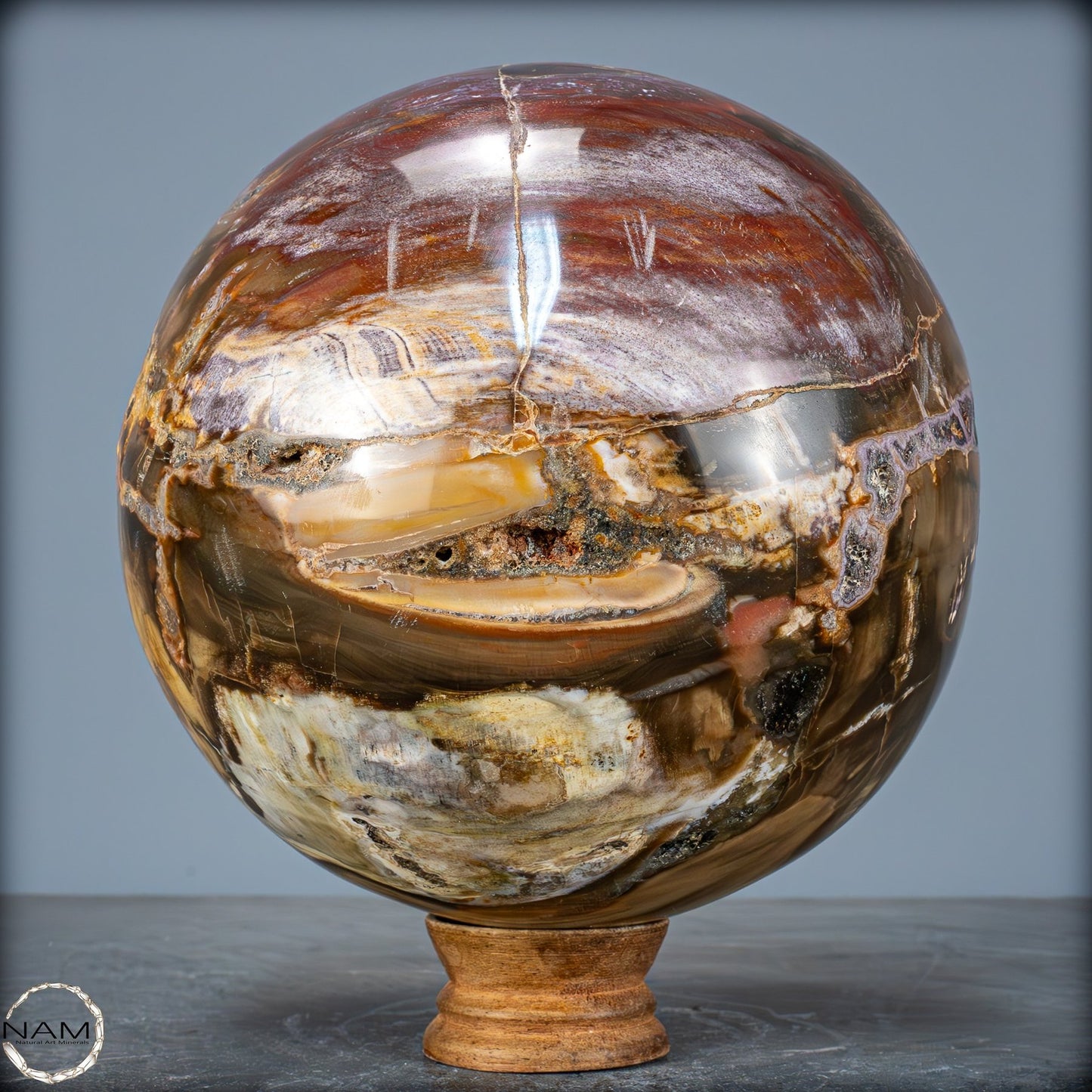 Natürliche Kristall-Kugel aus Versteinertem Holz - 5089,72g - 170mm