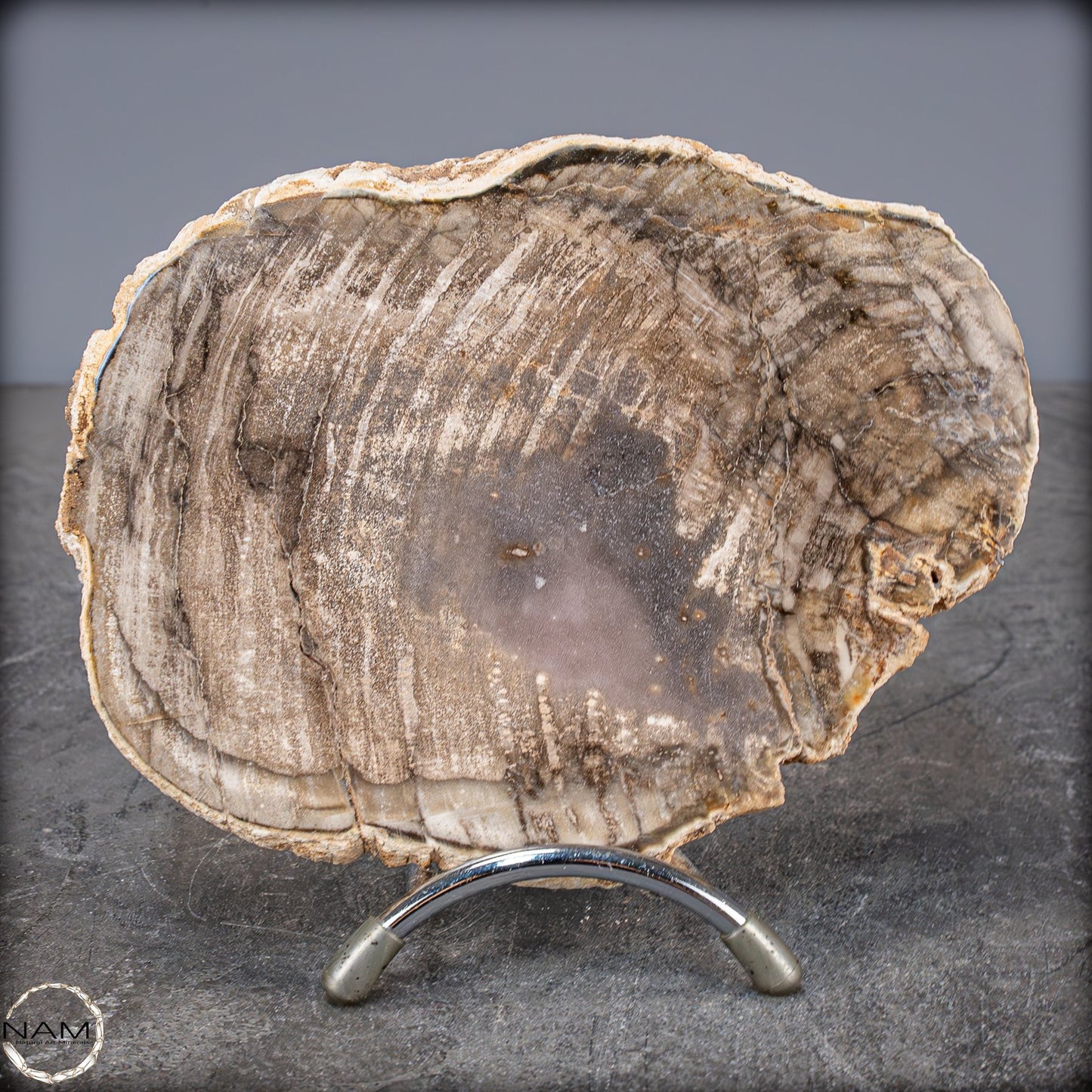 Natürliche Scheibe Versteinertes Holz - 654,42g