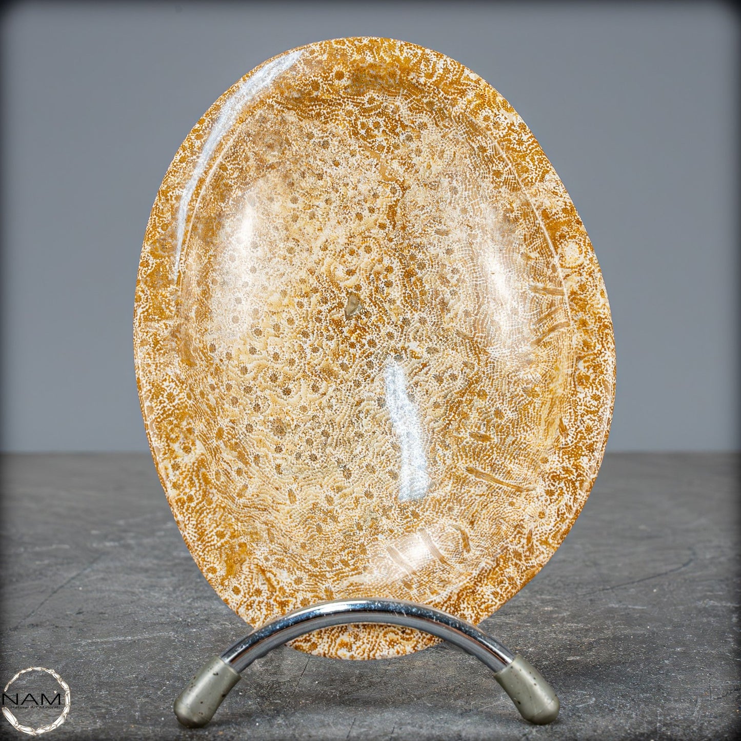 Natürliche Fossile Koralle als Schale - Schüssel - 303,51g