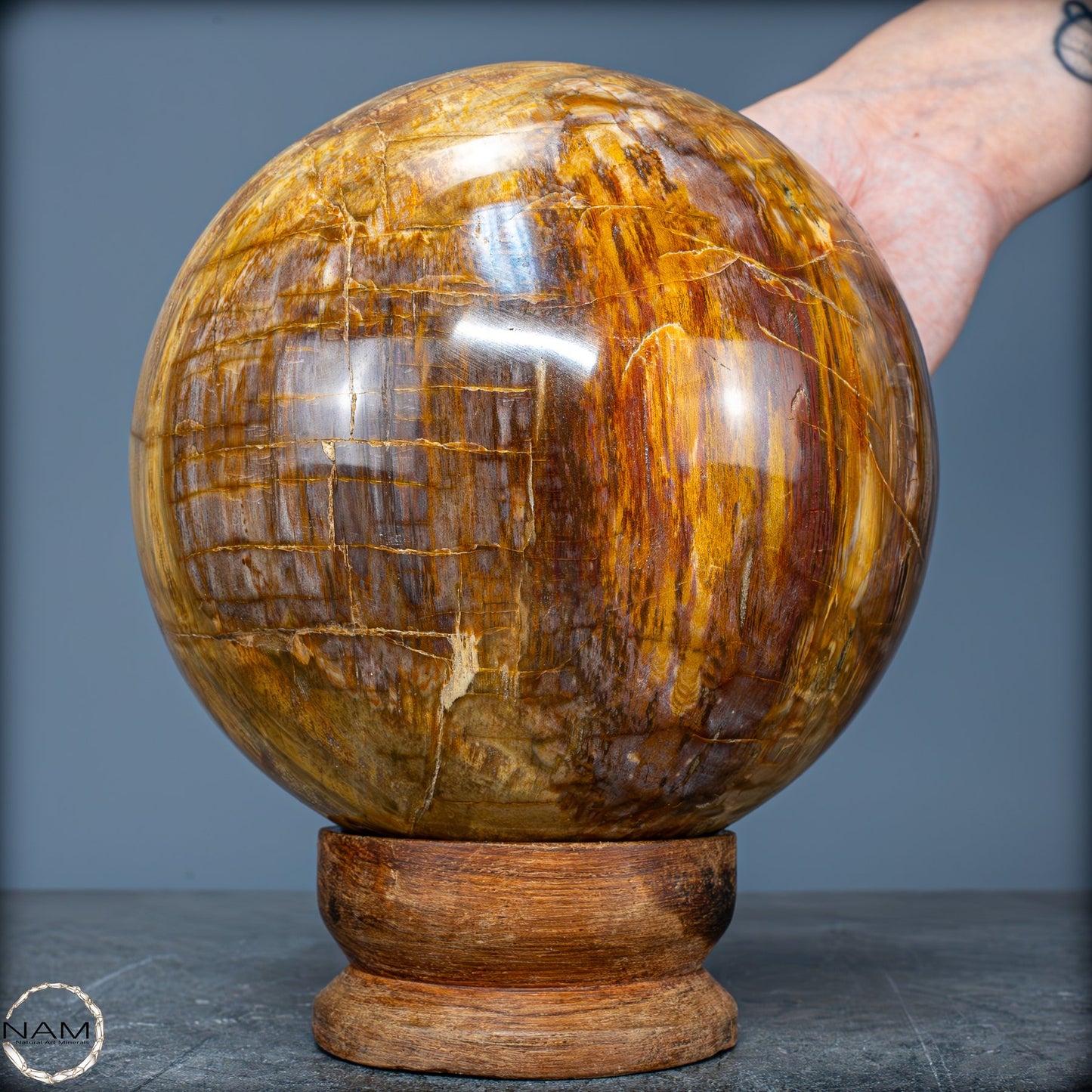 Natürliche Kristall-Kugel aus Versteinertem Holz - 4162,79g - 130mm