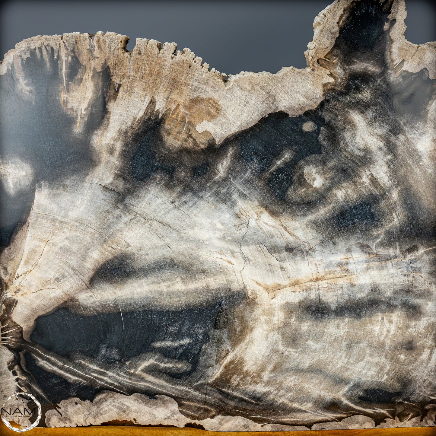 Natürliche Versteinerte Holz Kristall-Scheibe aus Arizona - 16728,48g