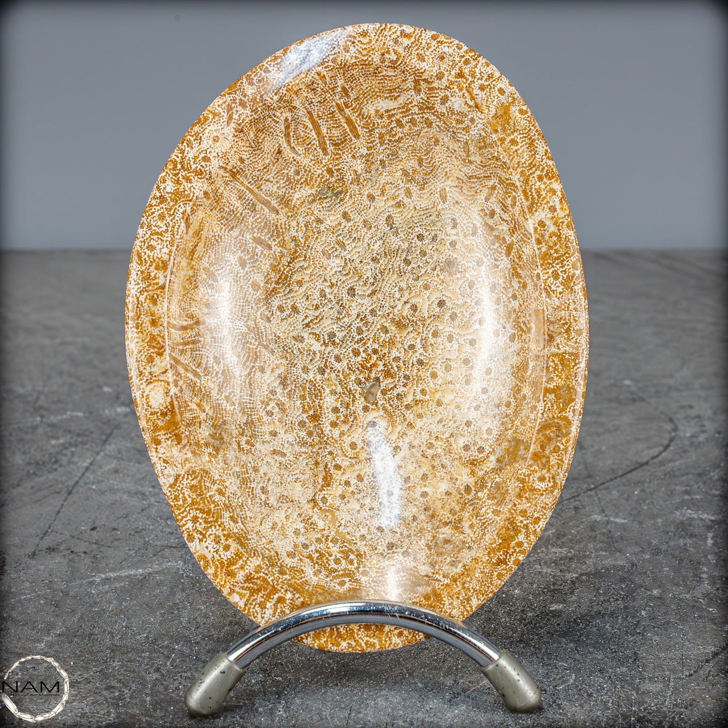 Natürliche Fossile Koralle als Schale - Schüssel - 303,51g