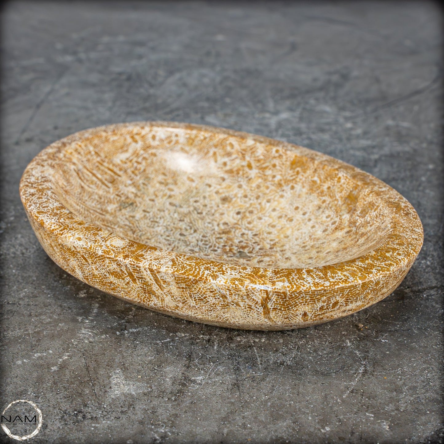 Natürliche Fossile Koralle als Schale - Schüssel - 303,51g