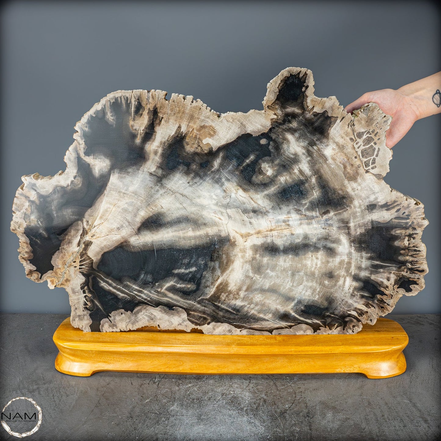 Natürliche Versteinerte Holz Kristall-Scheibe aus Arizona - 16728,48g