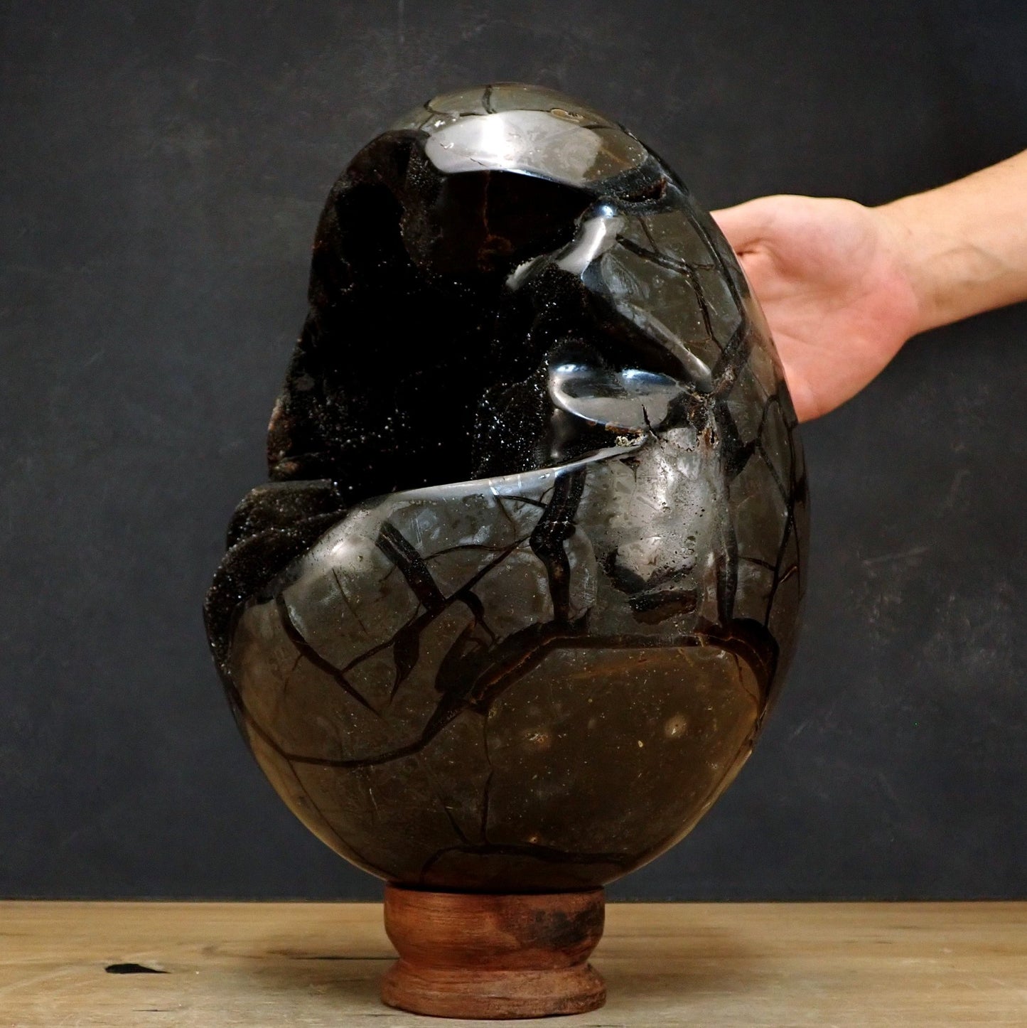 Großes Natürliches Septarien Druse Ei - 14037,81g