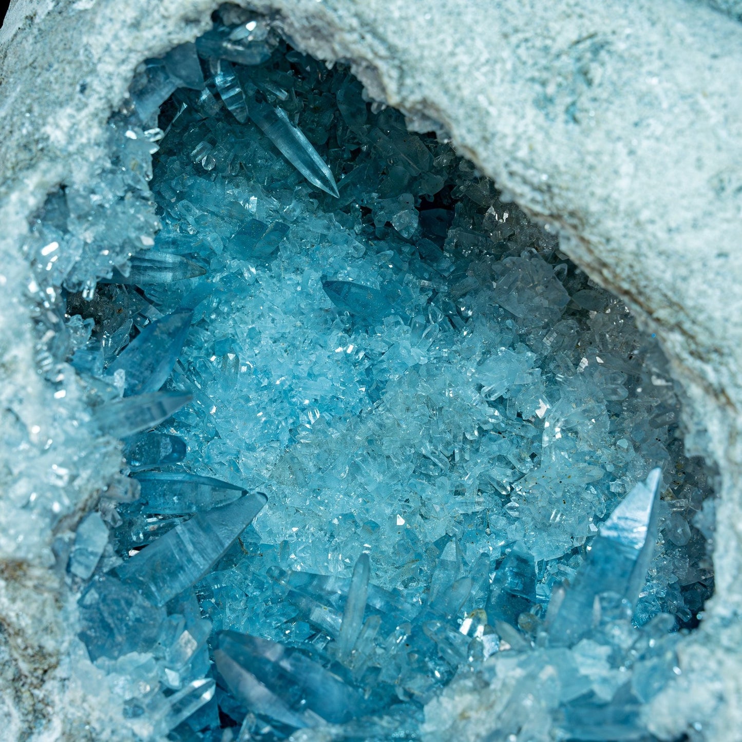 Natürliche Große Celestit Kristall-Druse - 39006,52g