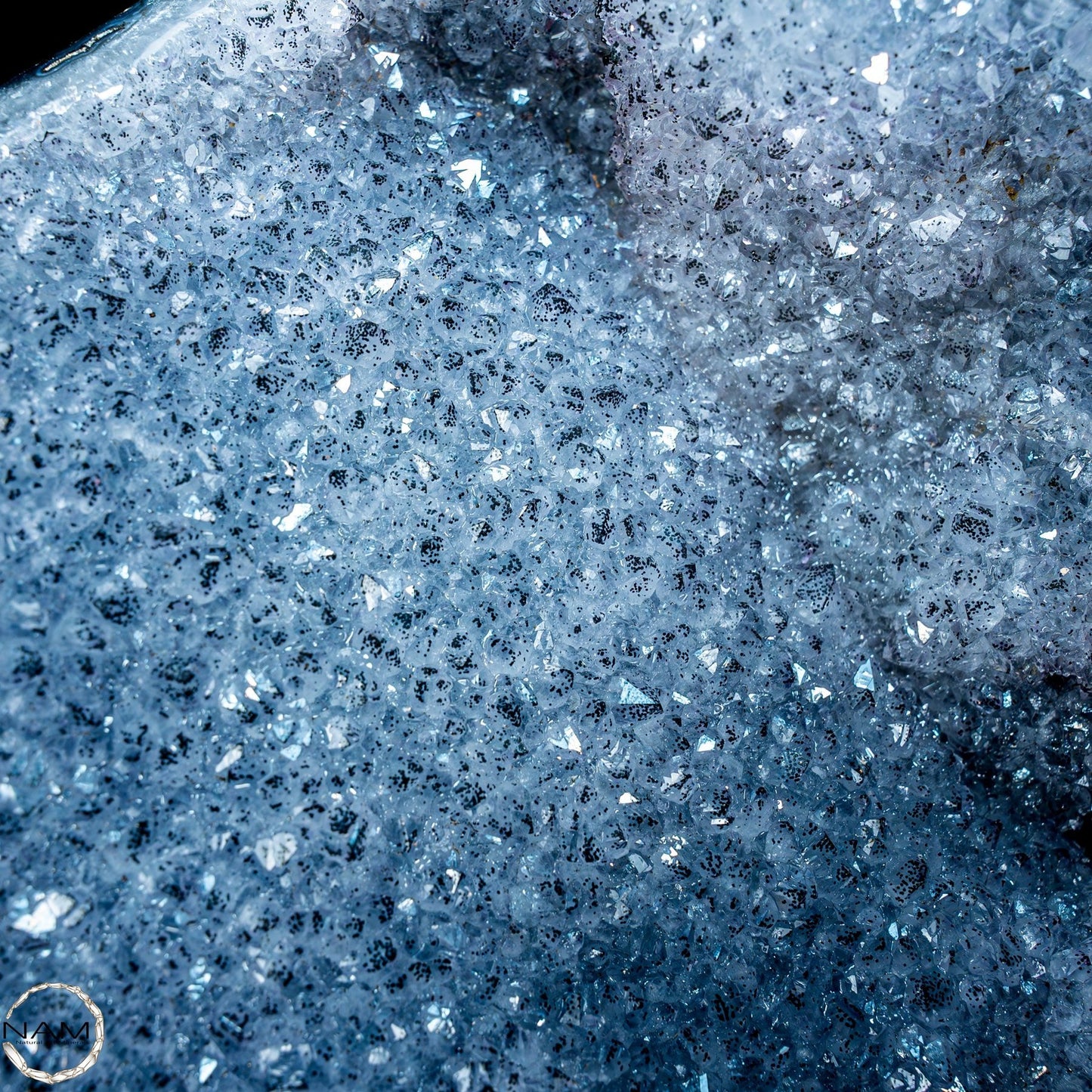 Natürliche Schwarz-Graue Amethyst-Kristalle/Druse auf Ständer - 18804,44g