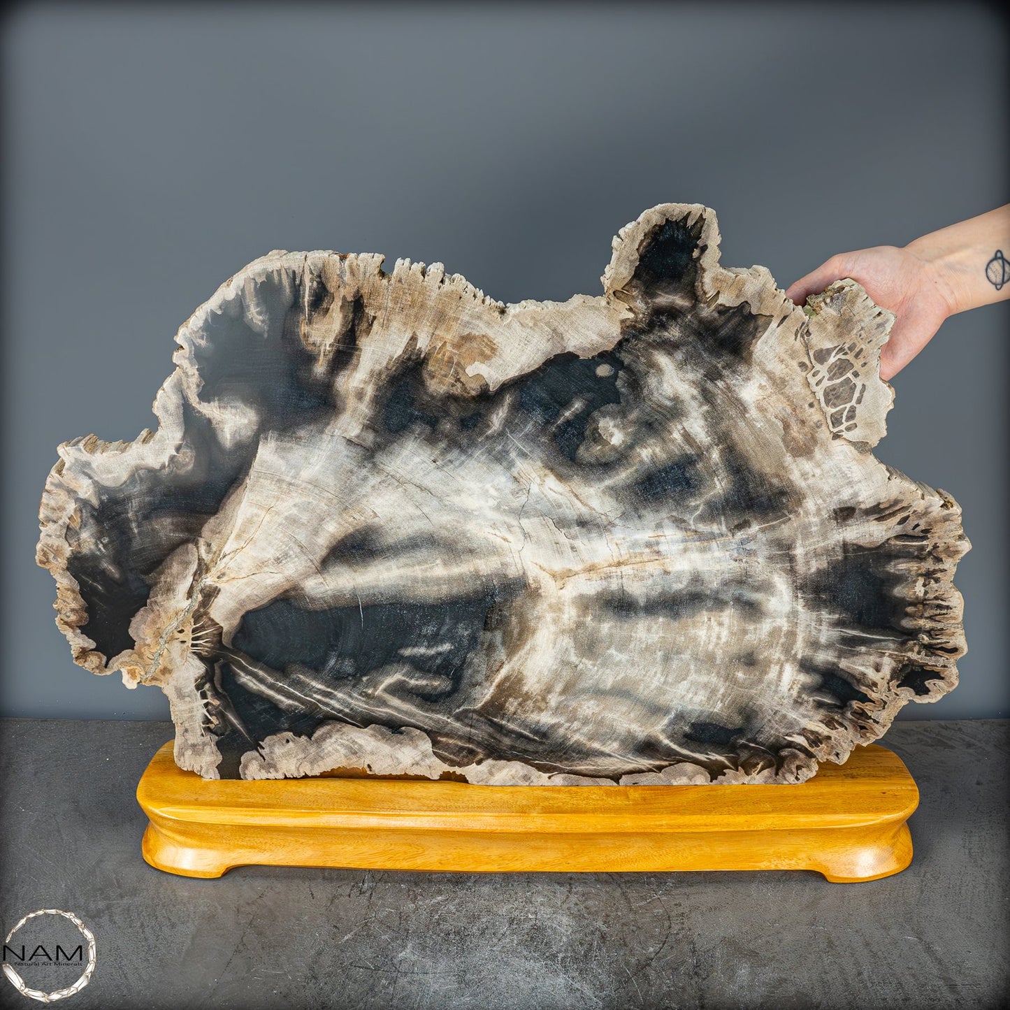Natürliche Versteinerte Holz Kristall-Scheibe aus Arizona - 16728,48g
