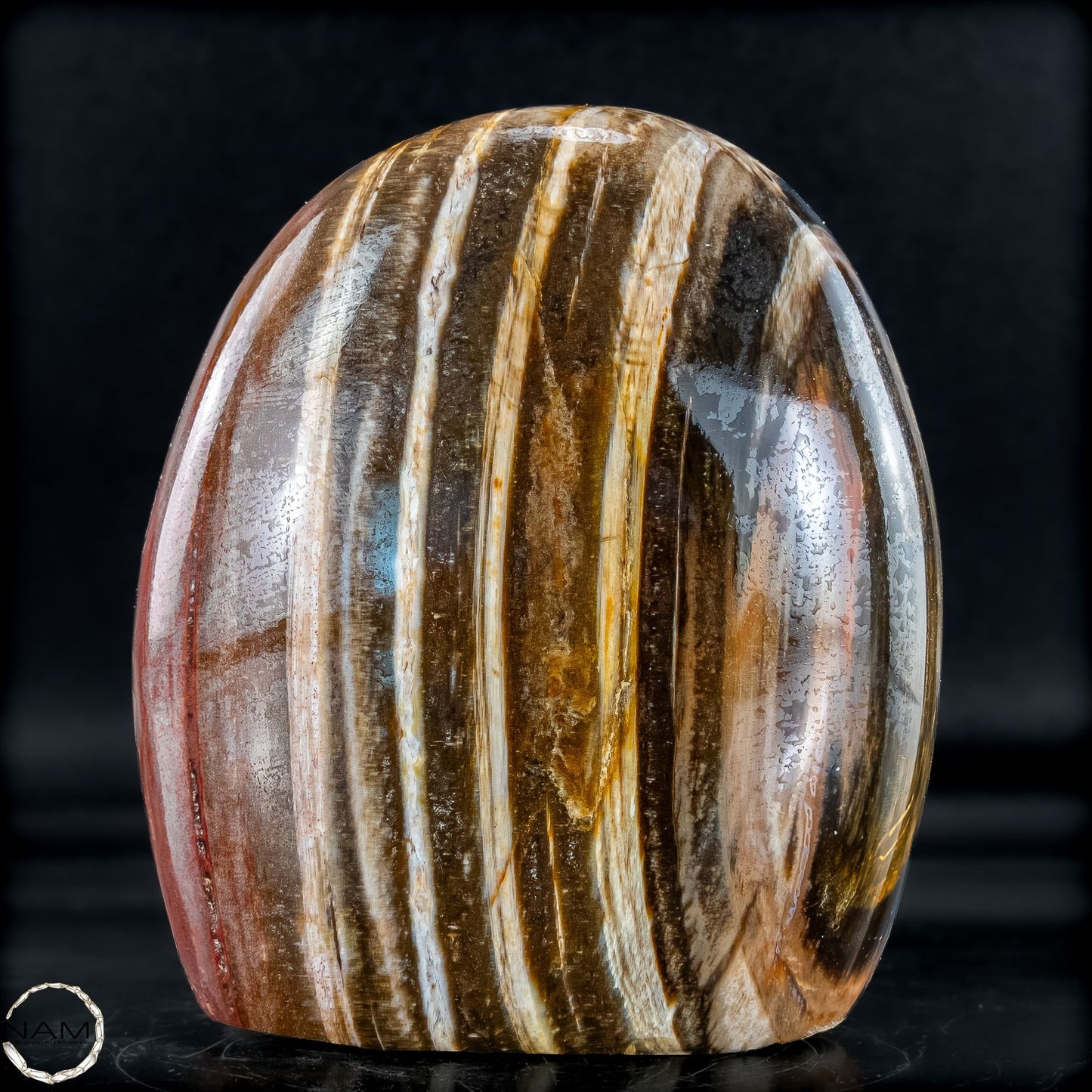 Natürliche Kristall-Freiform aus Versteinertem Holz - 893,59g