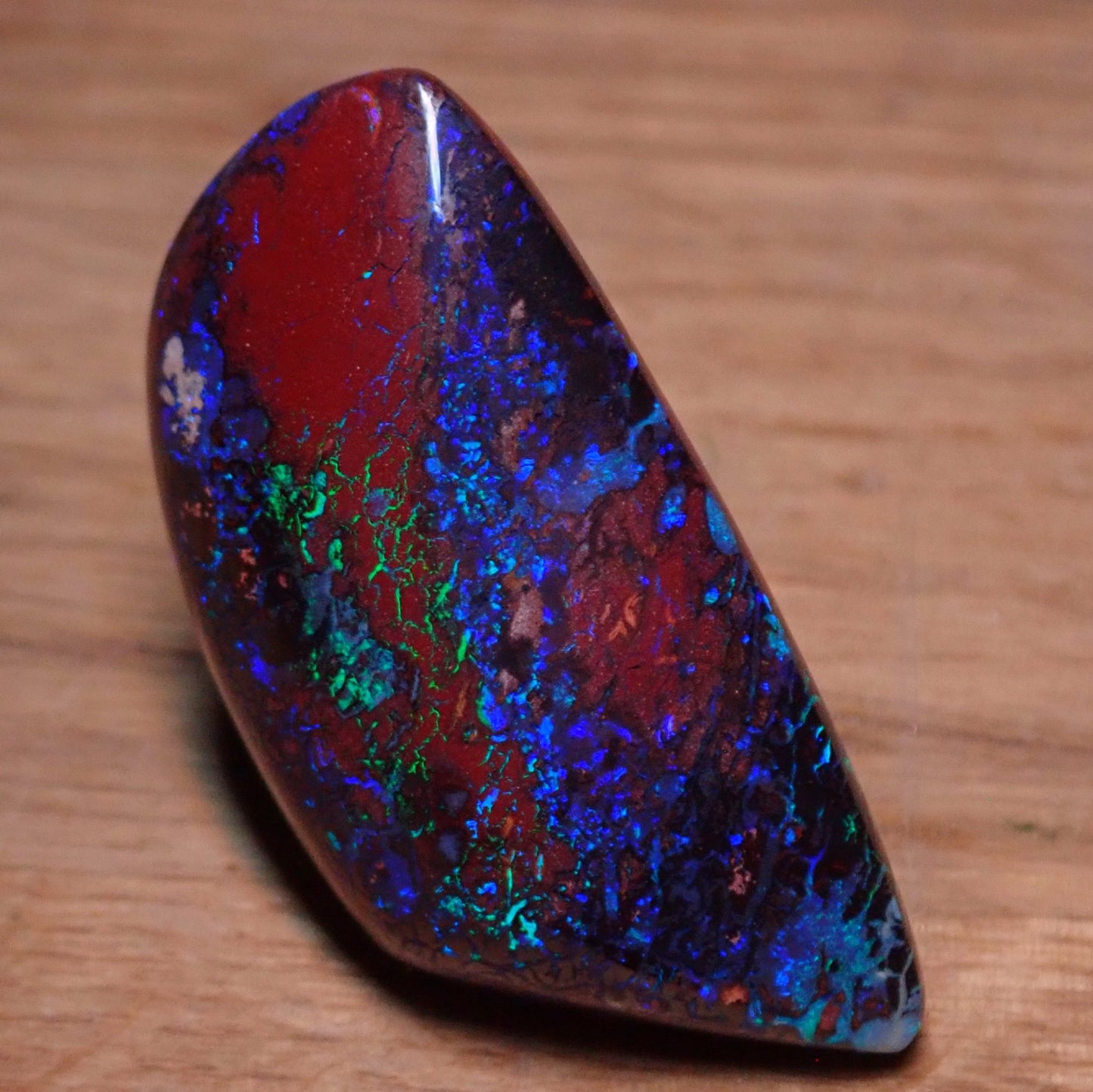 AAA+ Boulder Opal aus Australien 46.25ct - 9,25g