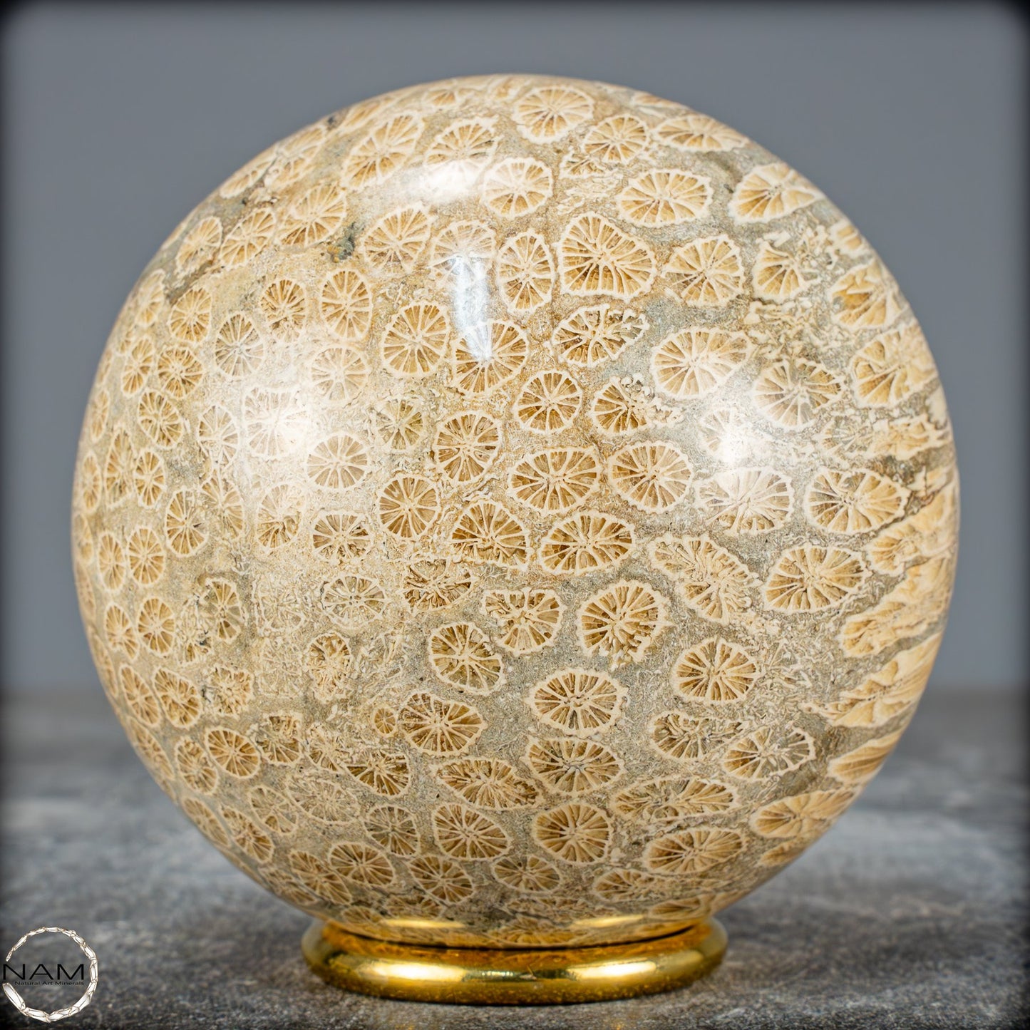 Natürliche Fossile Koralle als Kugel - 860,95g