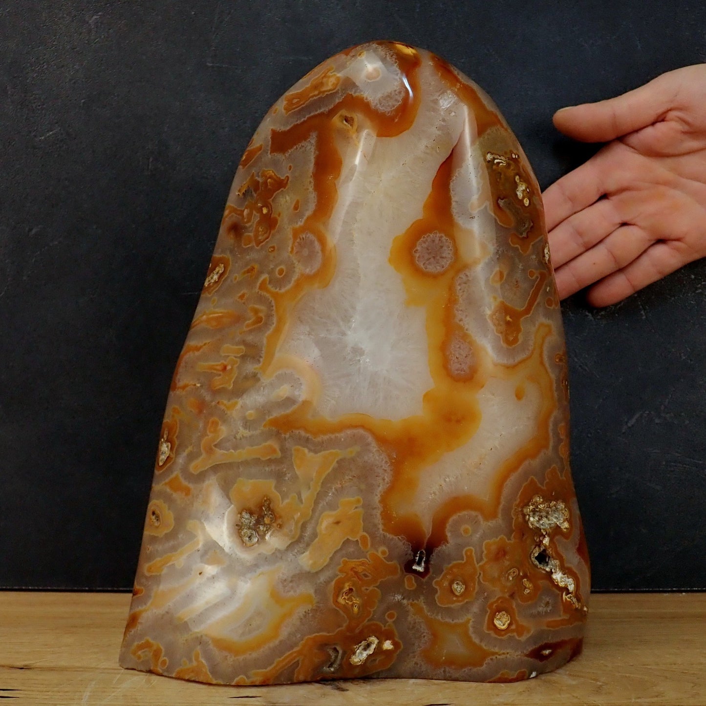 Große Carneol Roter Achat Freiform - 11517g - 295×240×135 mm