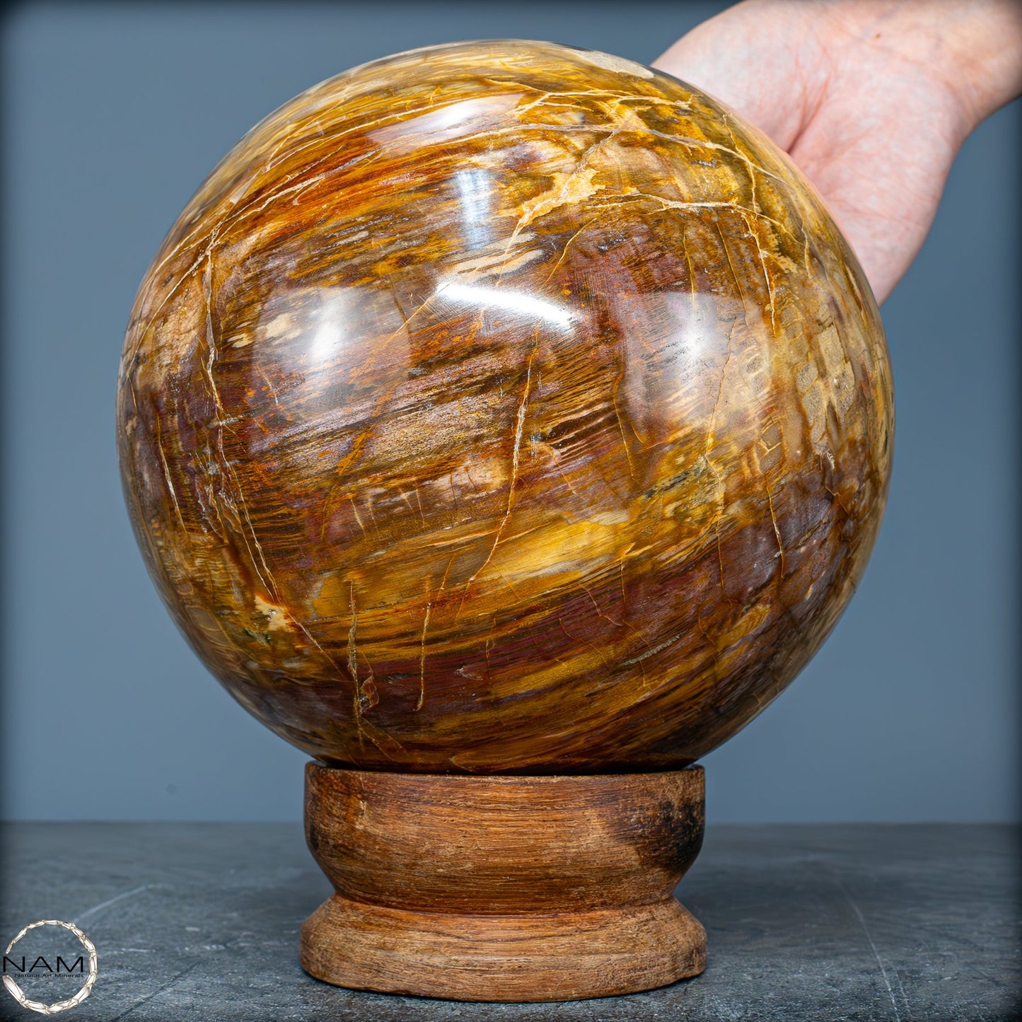 Natürliche Kristall-Kugel aus Versteinertem Holz - 4162,79g - 130mm