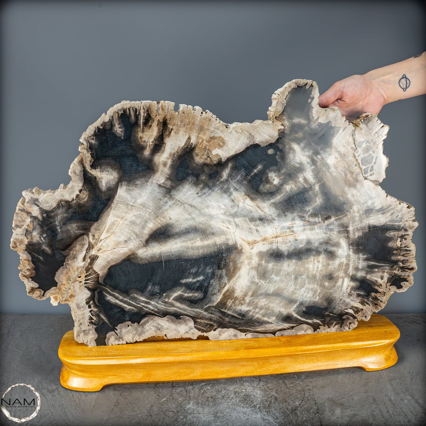 Natürliche Versteinerte Holz Kristall-Scheibe aus Arizona - 16728,48g