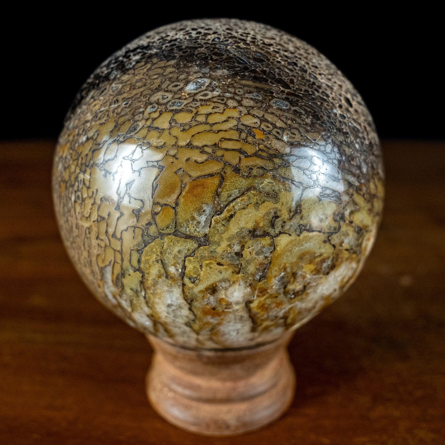 Natürliche Versteinerte Atlasaurus Dino Knochenkugel - 693,11g - 80,3mm