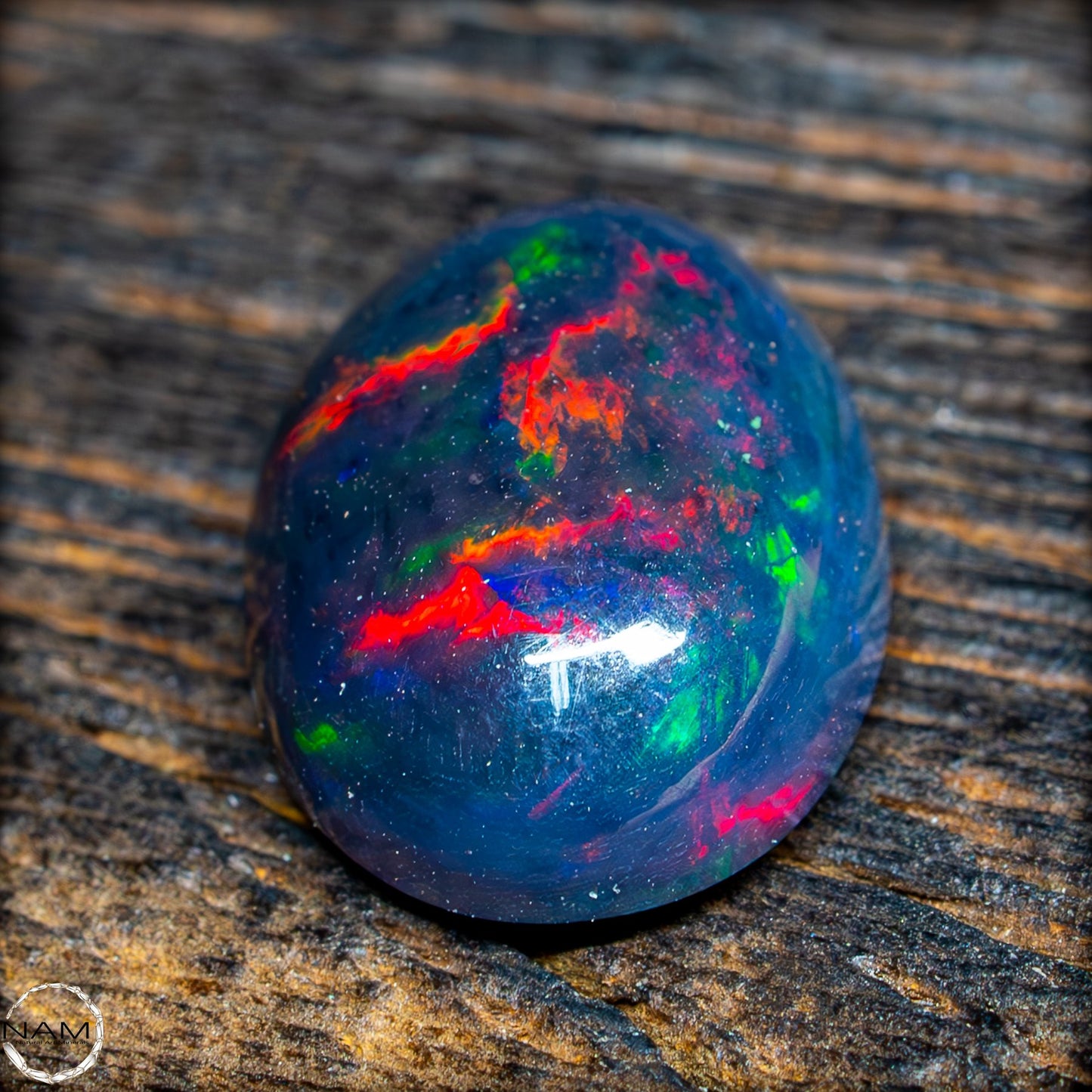 Großer AAA+ Schwarzer Opal Cabochon - 0,685g/3,425ct