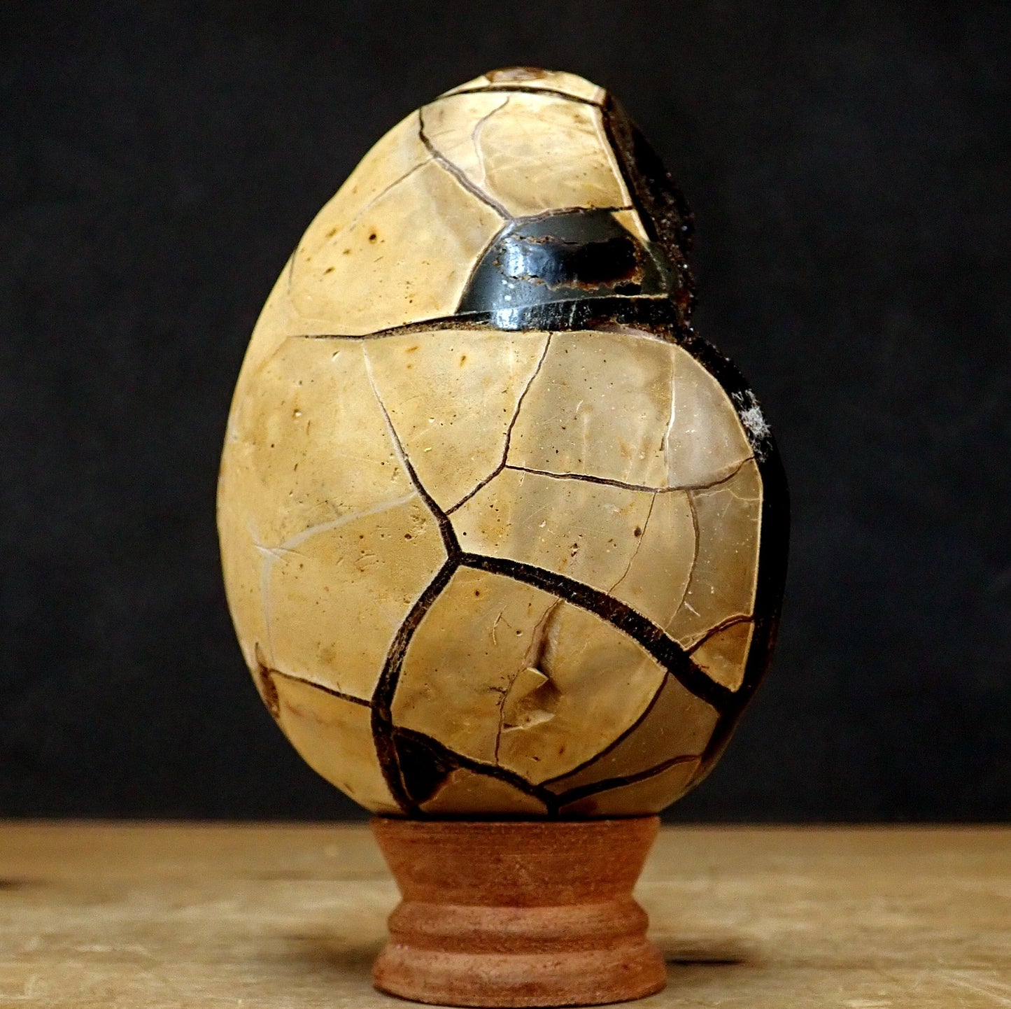 Septarien Druse Ei - 973,85g - 128 x 94 x 85mm