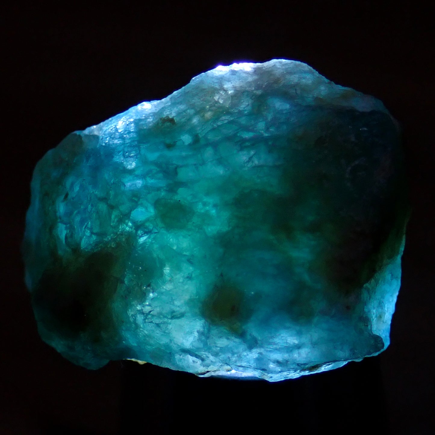 Blau-grüner Grandidierit-kristall, 51,05ct - 10,21g - 27,2 x 19,9 x 13,3mm