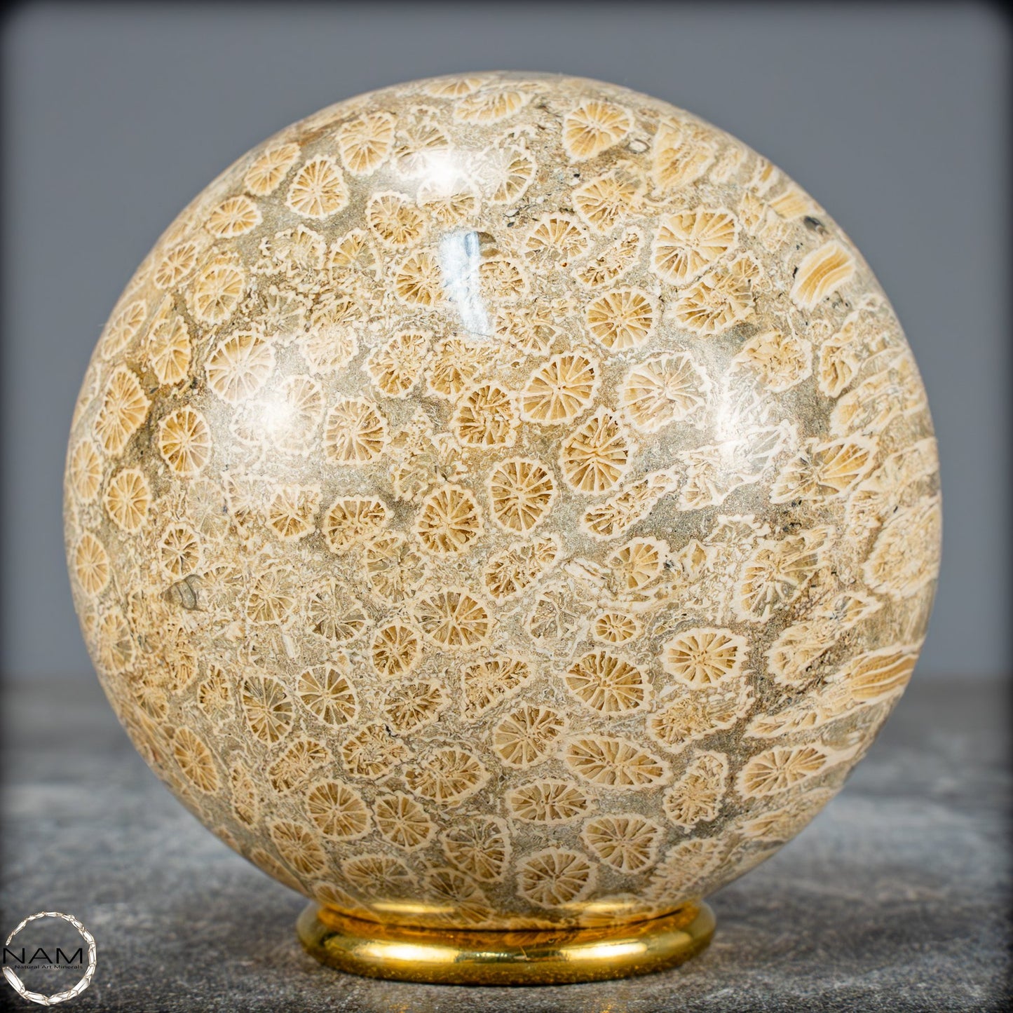 Natürliche Fossile Koralle als Kugel - 860,95g