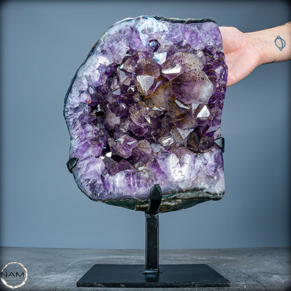 Natürliche Amethyst-Kristalle/Druse auf Ständer - 8280,11g