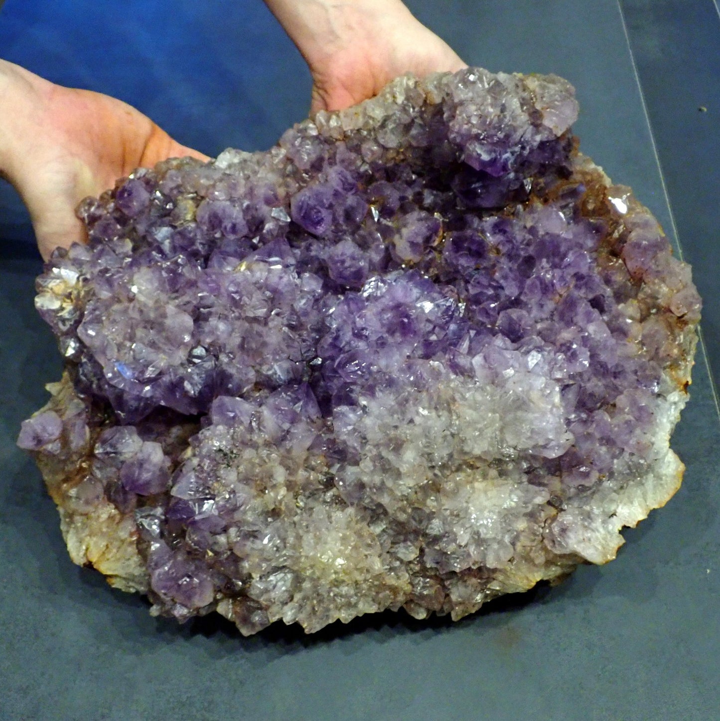 Riesen Kaktus-Amethyst aus Südafrika - 17609g - 380x305x155mm