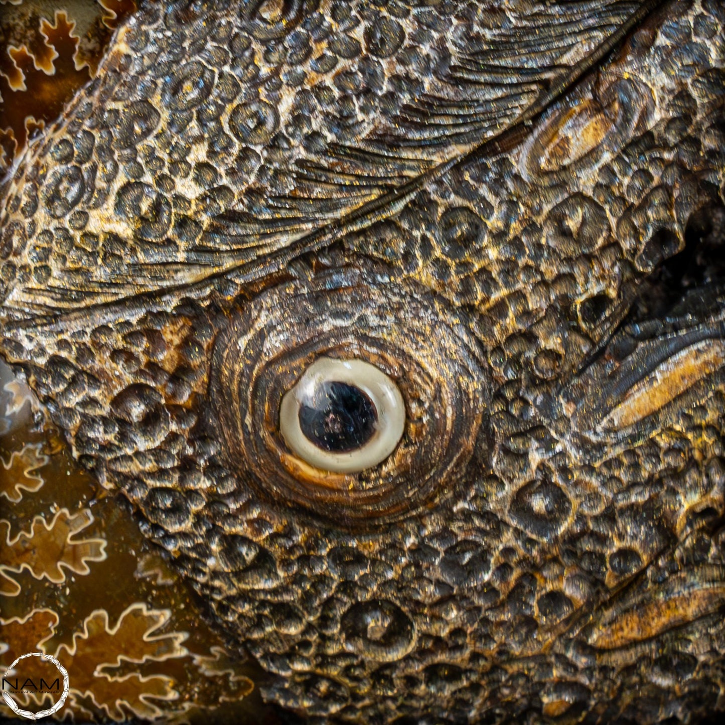 Natürlicher Ammonite verbunden mit Meisterhafter Kunst - 1079,22g