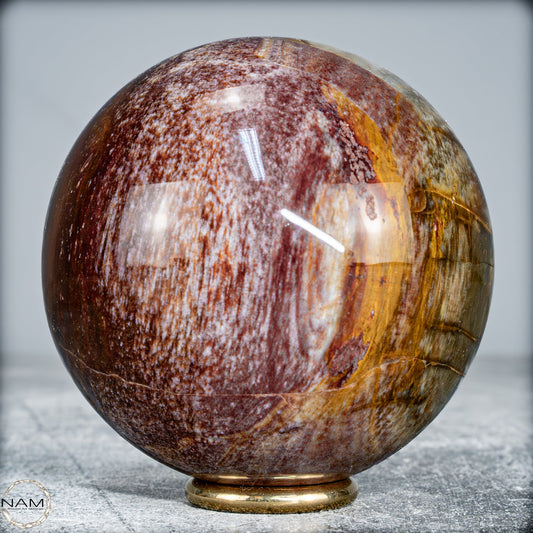 Natürliche Kristall-Kugel aus Versteinertem Holz  -519,34g
