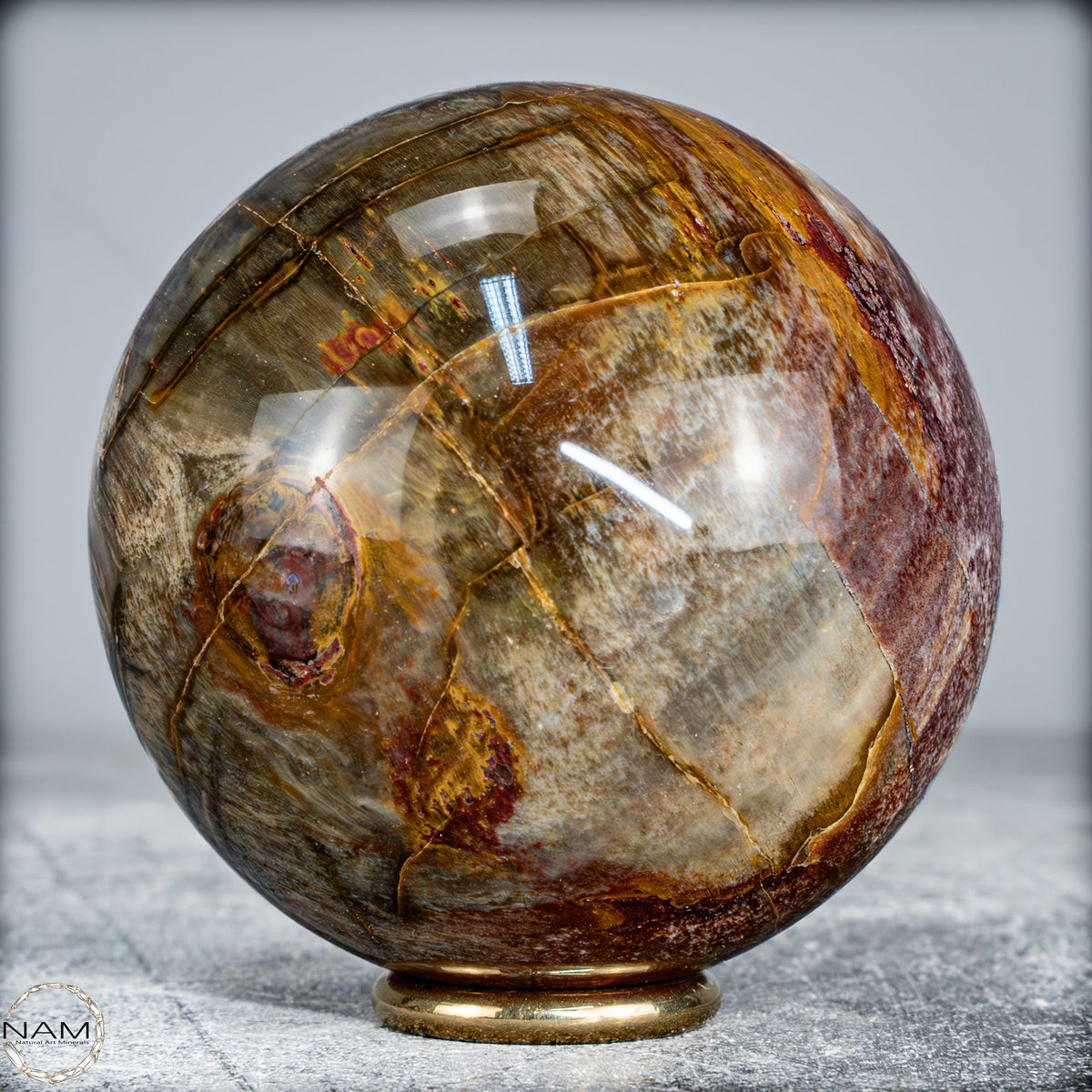 Natürliche Kristall-Kugel aus Versteinertem Holz  -519,34g
