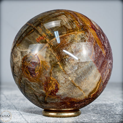 Natürliche Kristall-Kugel aus Versteinertem Holz  -519,34g