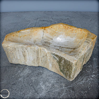 Natürliche Versteinerte Holz Kristall-Schale - 2599,59g