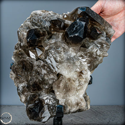 Große Natürliche Rauchquarz-Kristalle auf Ständer - 4719,38 g