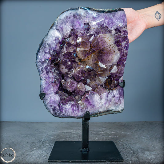 Natürliche Amethyst-Kristalle/Druse auf Ständer - 8280,11g