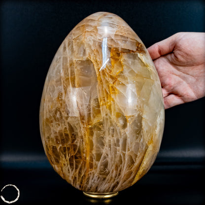 Golden Healer Quarz-Ei aus Brasilien - 5707,33g