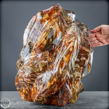 Natürliche Kristall-Flamme aus Versteinertem Holz  - 57231,11g