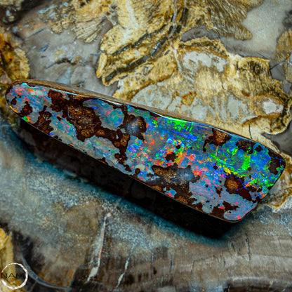 Natürlicher AAA+ Boulder Opal aus Australien Edelsteinqualität - 14,846g