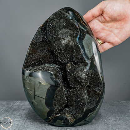 Natürliche Septarien Druse mit Calzit Kristallen - 5621,44g