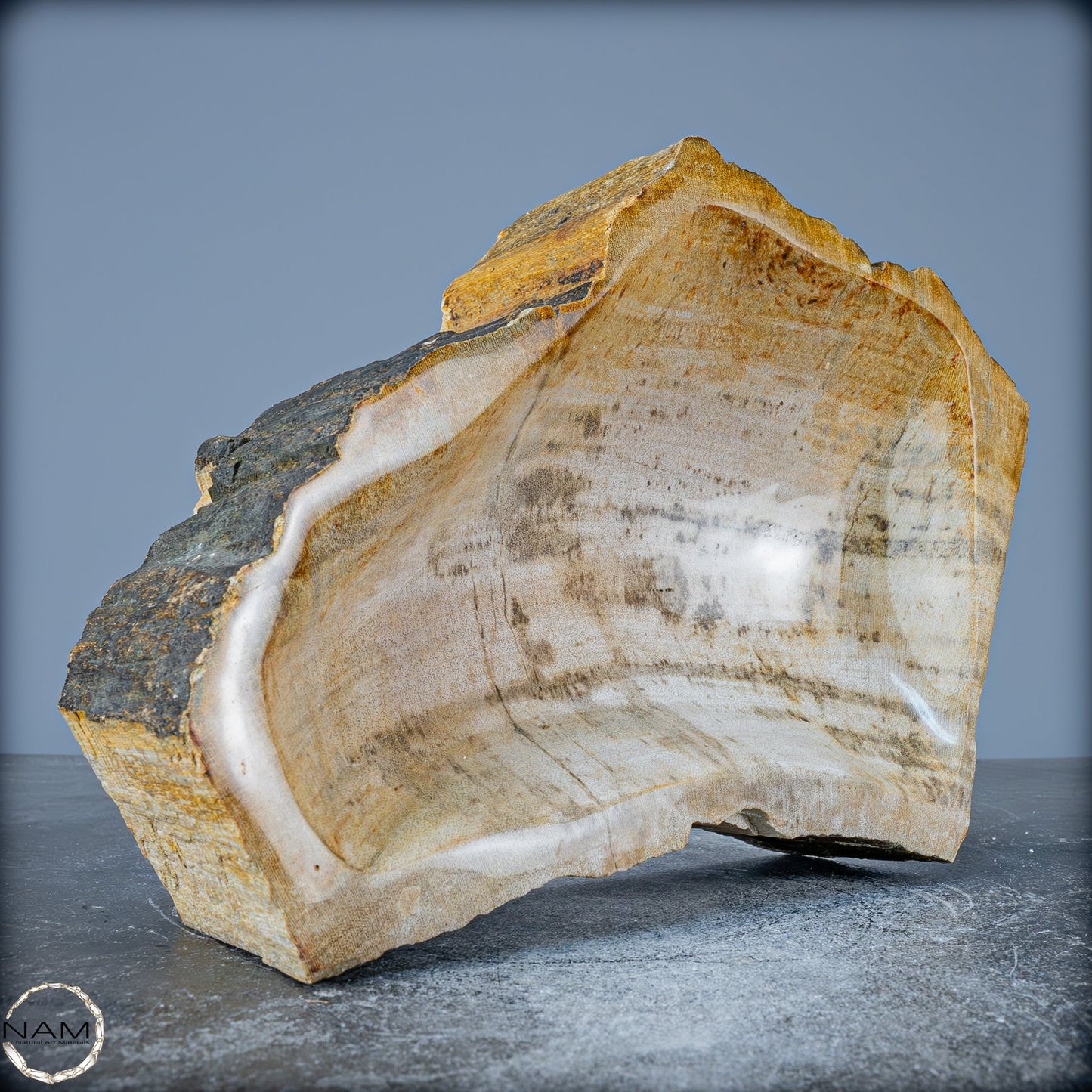 Natürliche Versteinerte Holz Kristall-Schale - 2599,59g
