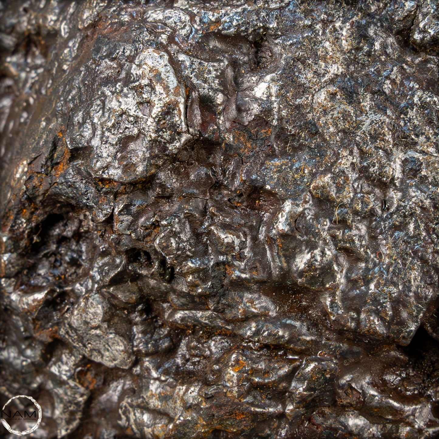 Natürlicher Sehr Großer Meteorit Campo Del Cielo, Argentinien - 1351,89g
