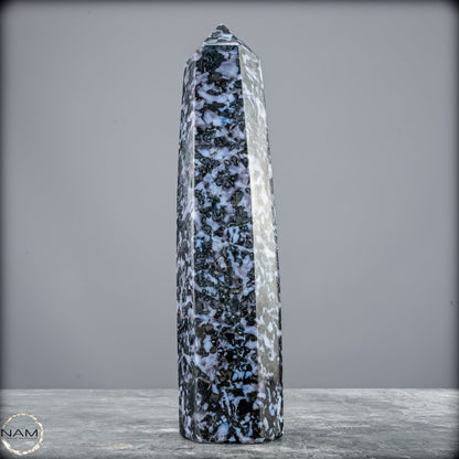 Natürlicher Merlinit (Gabbro) Kristall Obelisk - 821,77g