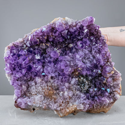 Riesen Kaktus-Amethyst aus Südafrika - 11765,71g