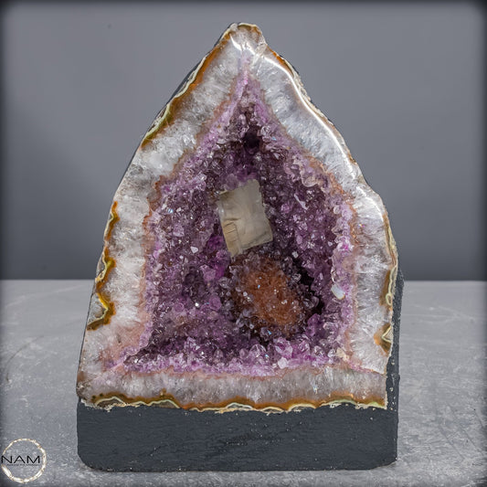Amethyst-Druse Kathedrale – Naturwunder aus Uruguay –1663,29g
