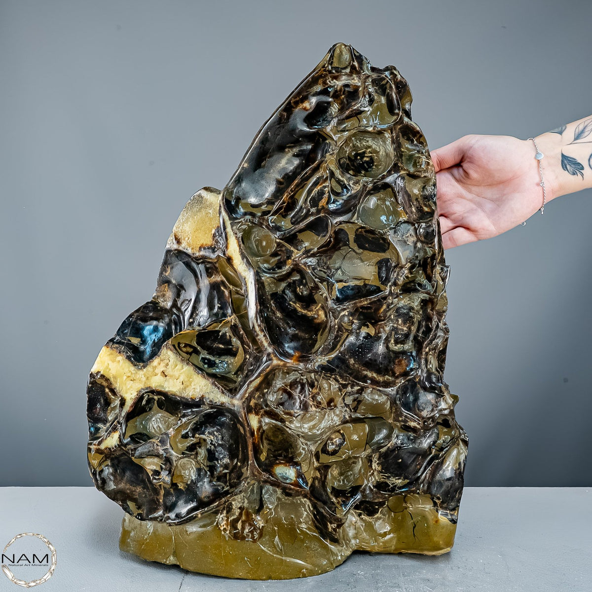 Septarien-Skulptur mit Ammonit aus Russland – 22569,66g