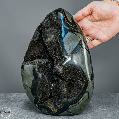Natürliche Septarien Druse mit Calzit Kristallen - 5621,44g